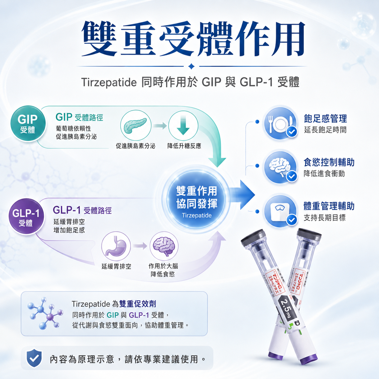 GIP 受體作用示意圖